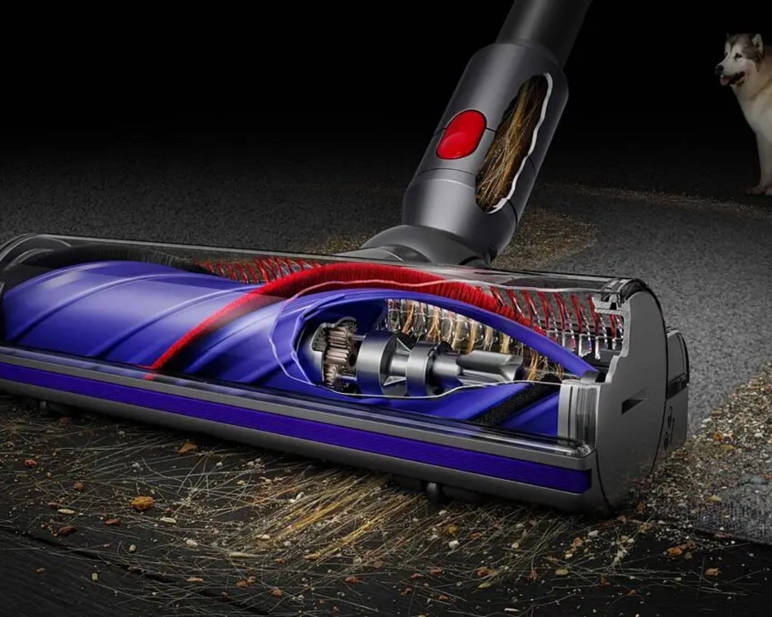 DYSON V8 VACUUM 1